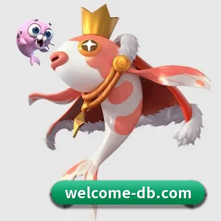 DB体育 APP